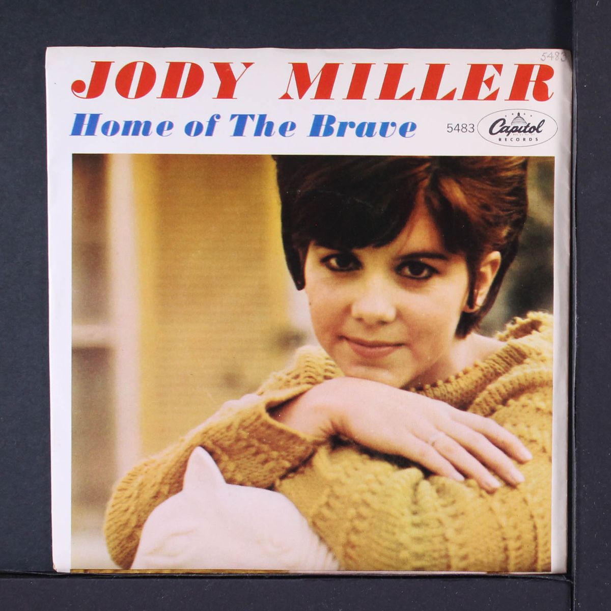 home of the brave by JODY MILLER
