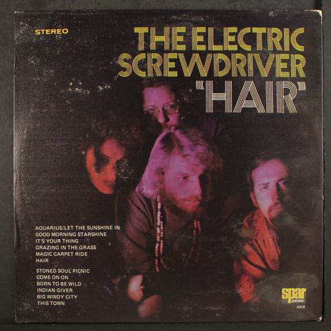 ELECTRIC SCREWDRIVER