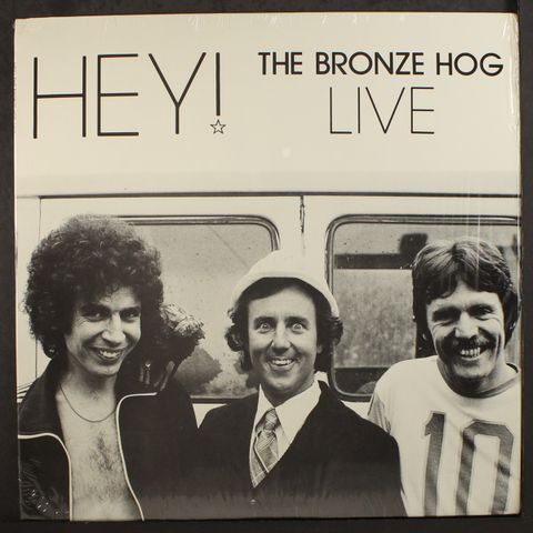 BRONZE HOG