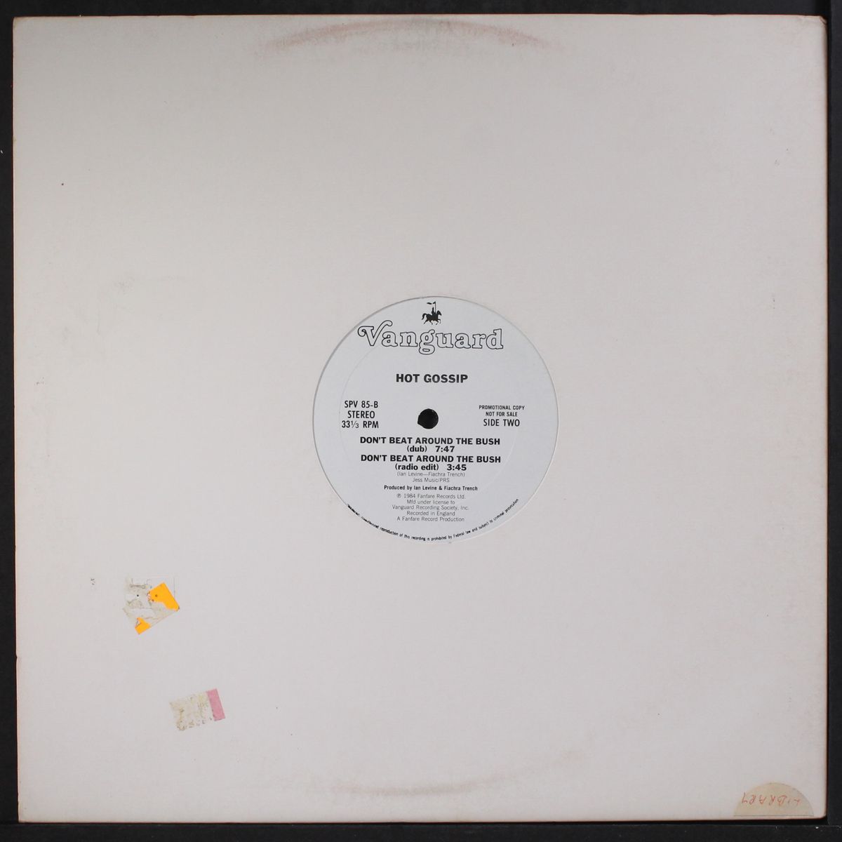 don't beat around the bush / dub by HOT GOSSIP