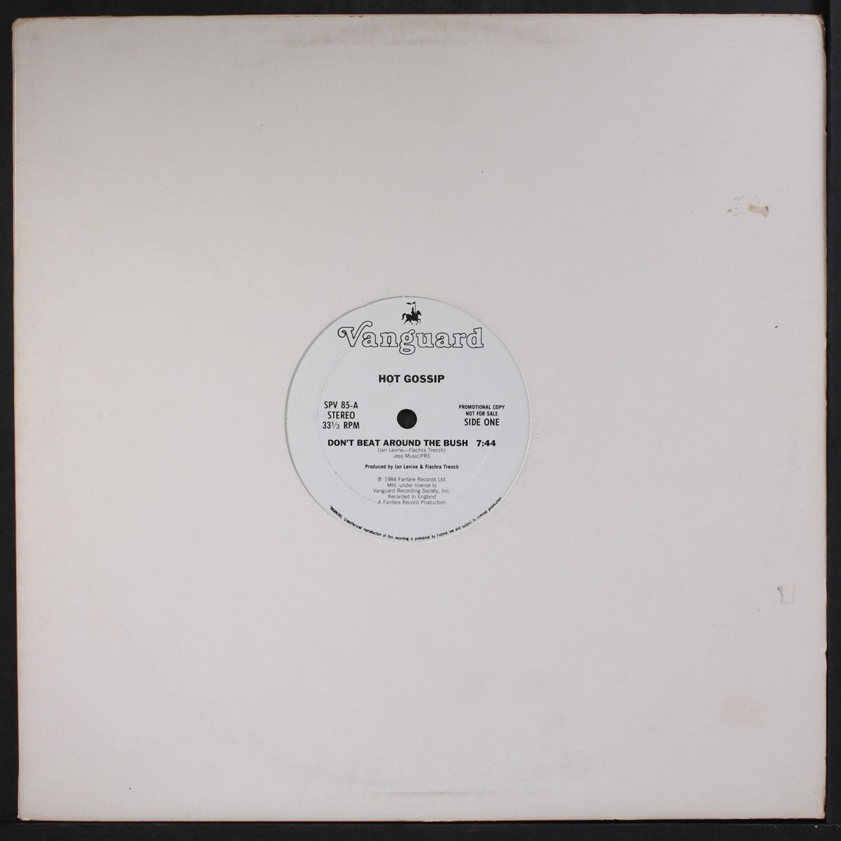 don't beat around the bush / dub by HOT GOSSIP