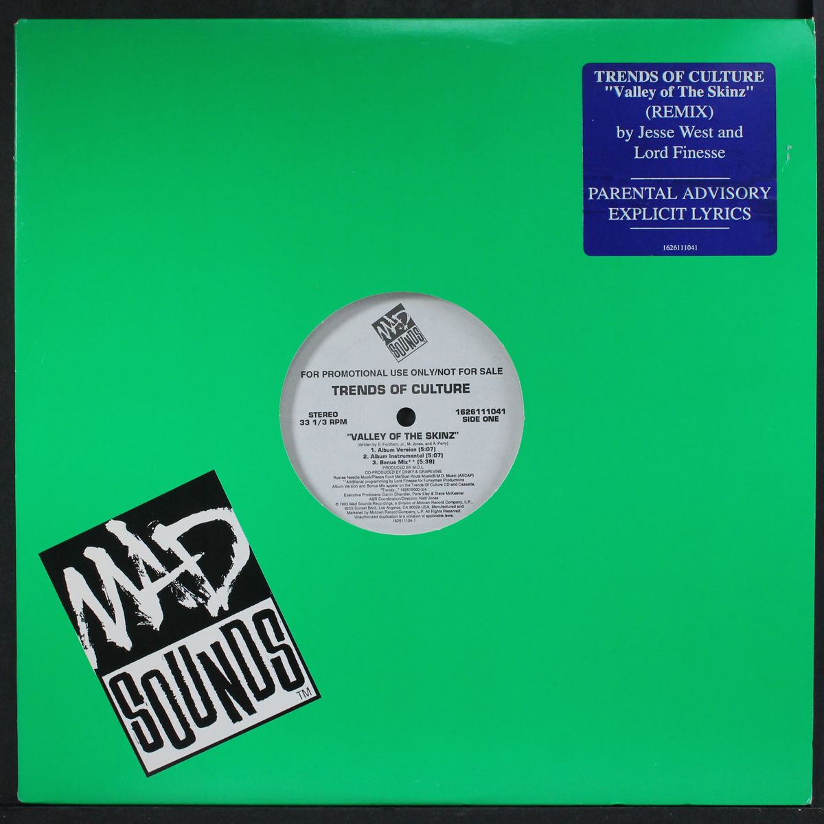 valley of the skinz (remix) by TRENDS OF CULTURE