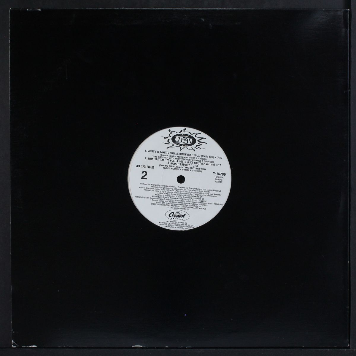 what's it take to pull a hottie (like you? / instro) by MELLOW MAN ACE
