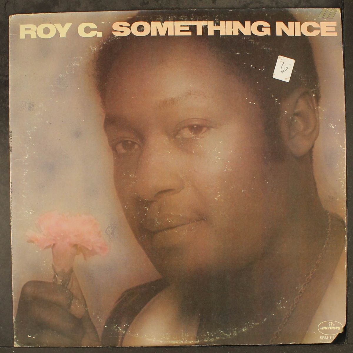 something nice by ROY C