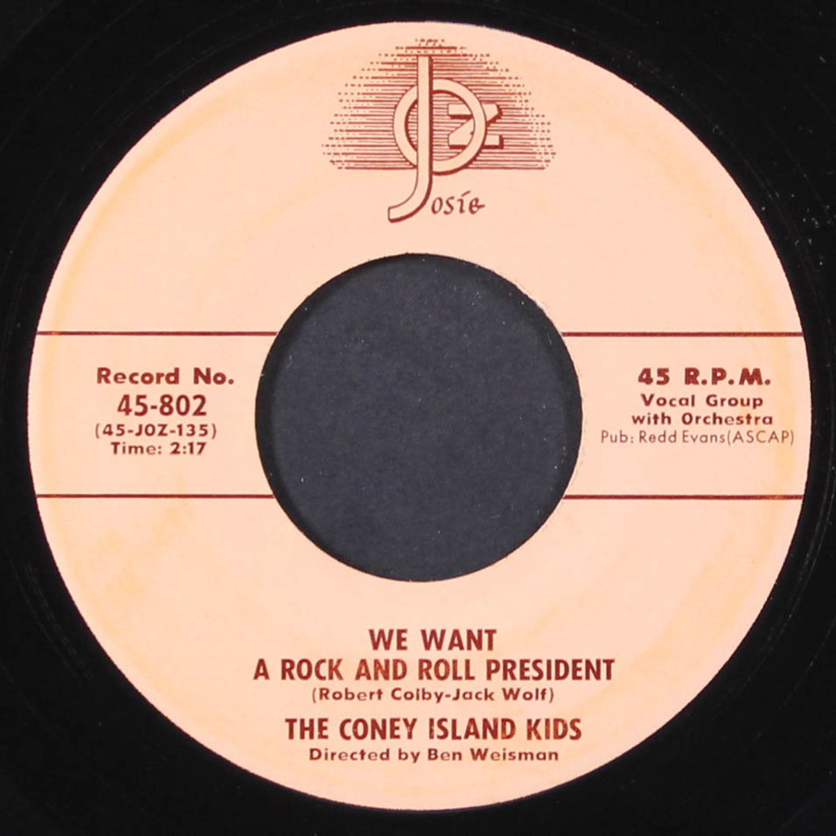 we want a rock and roll president by CONEY ISLAND KIDS