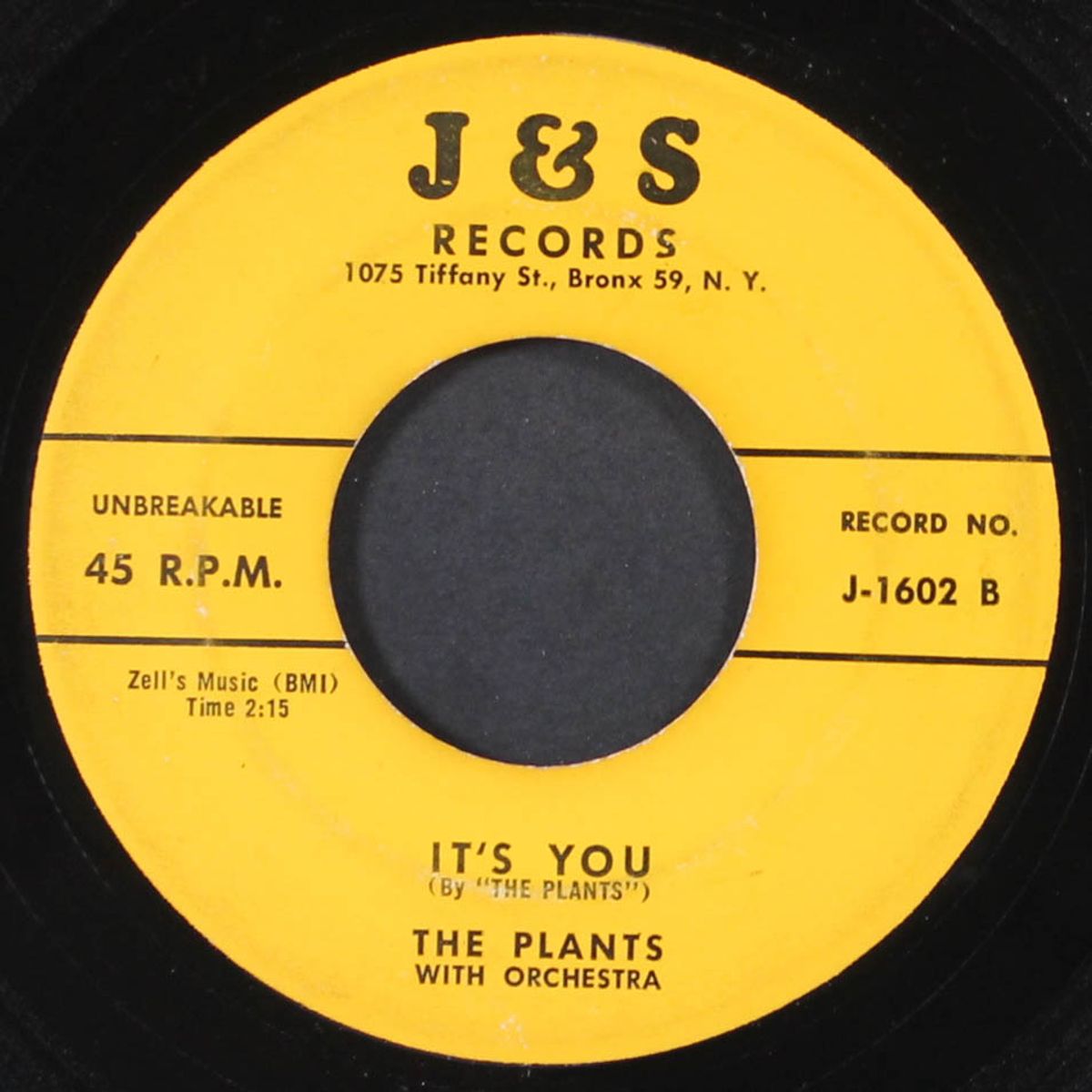 dear i swear / it's you by PLANTS