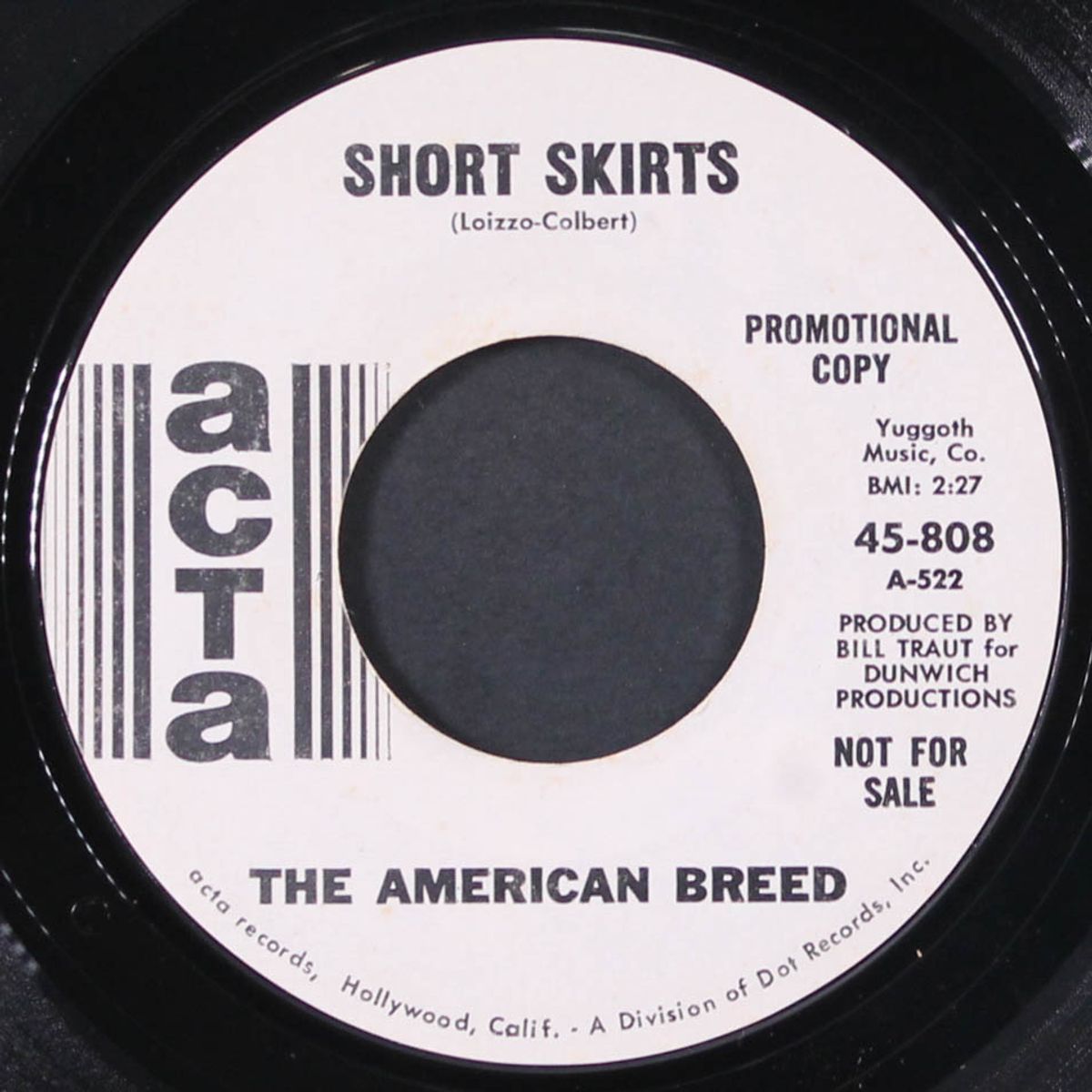 don't forget about me / short skirts by AMERICAN BREED