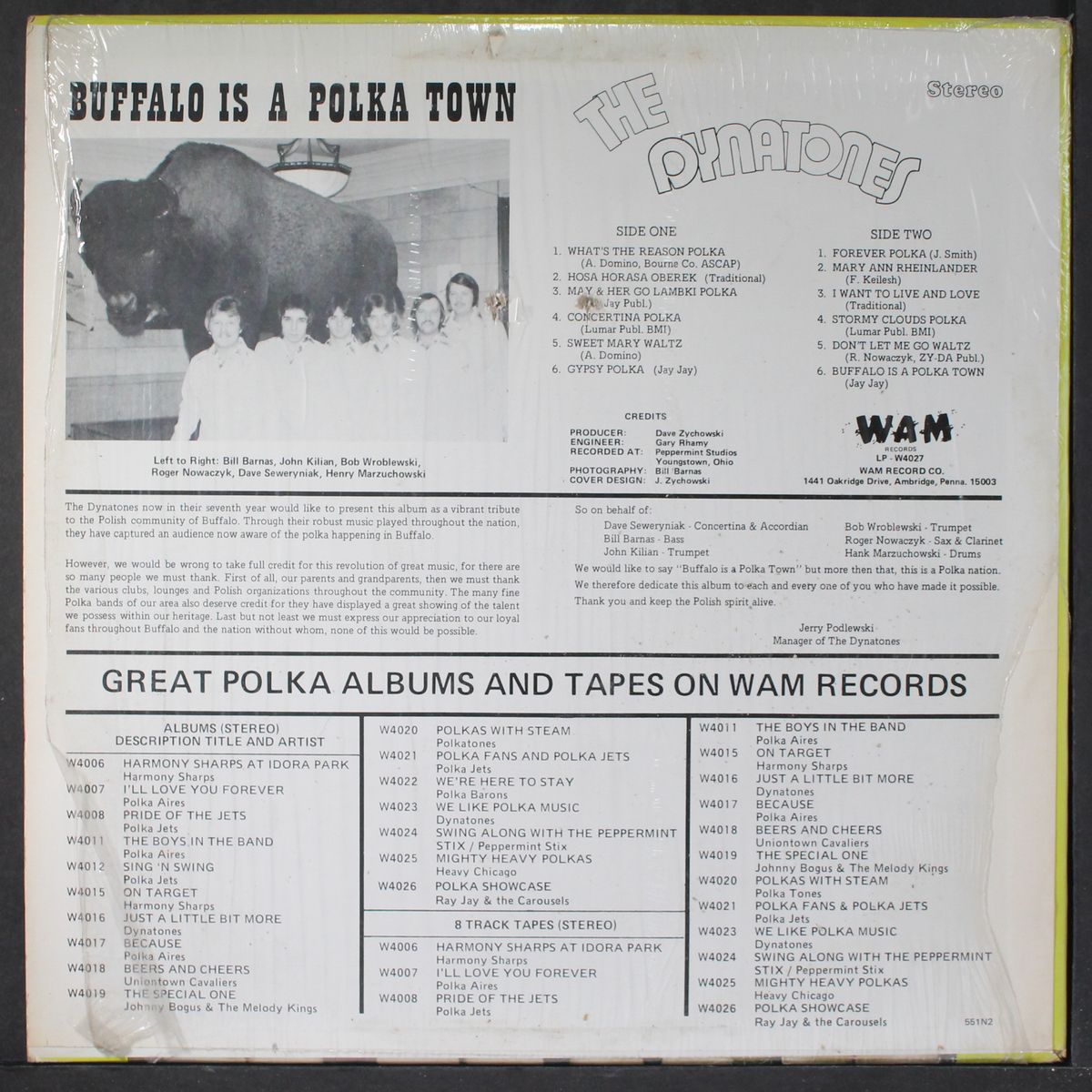 buffalo is a polka town by DYNATONES