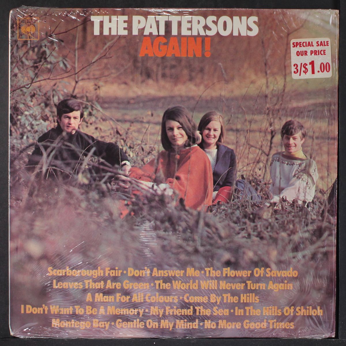 again! by PATTERSONS