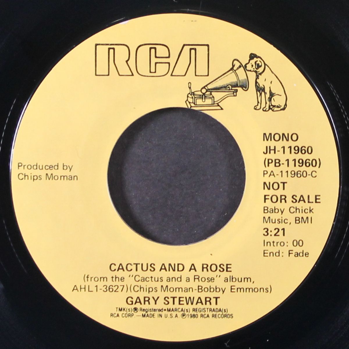 cactus and a rose by GARY STEWART