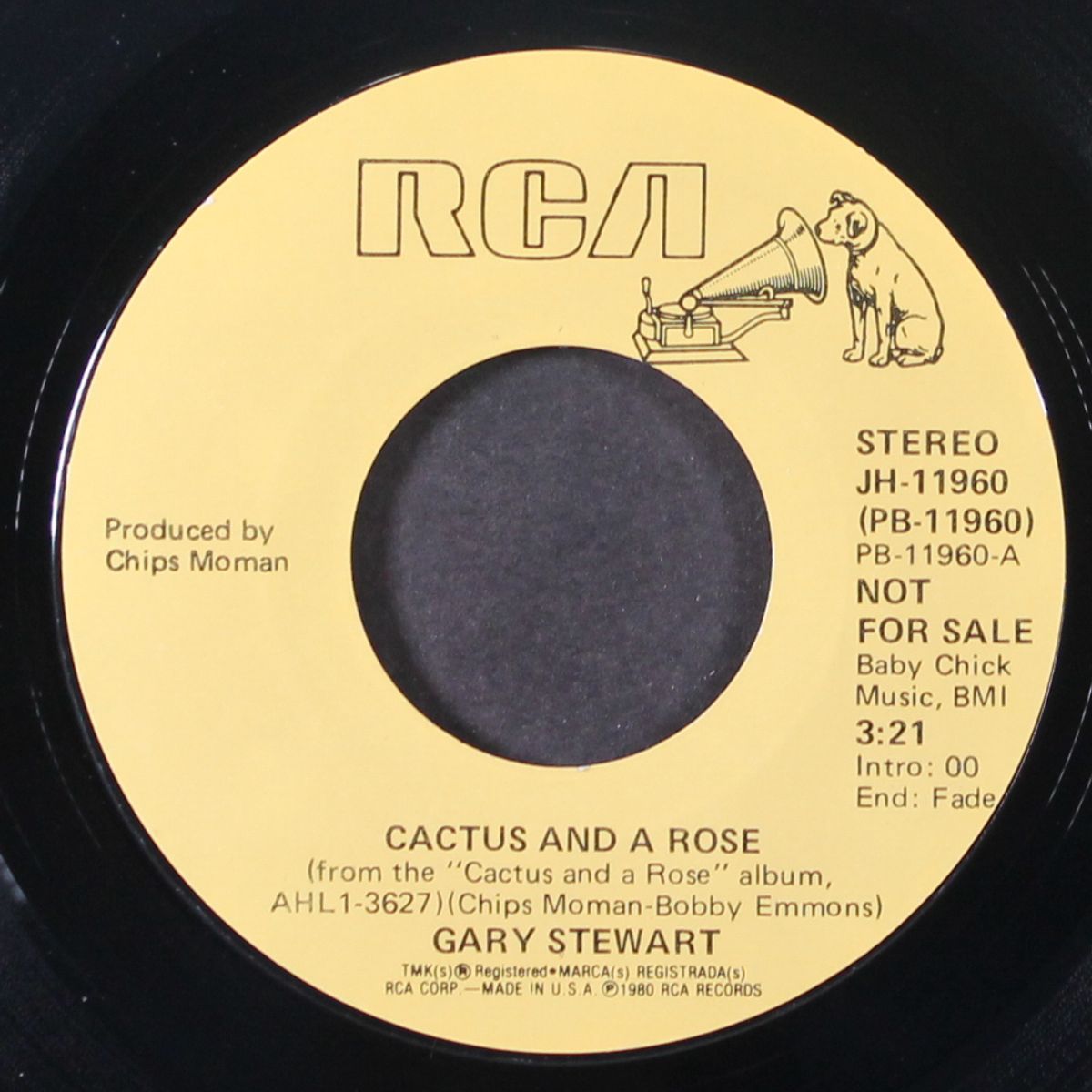 cactus and a rose by GARY STEWART
