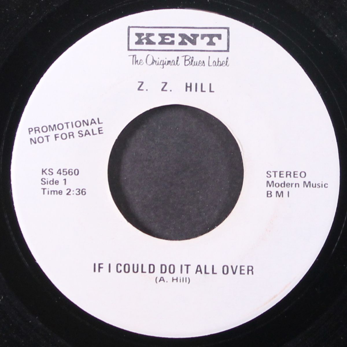 if i could do it all over by Z.Z. HILL