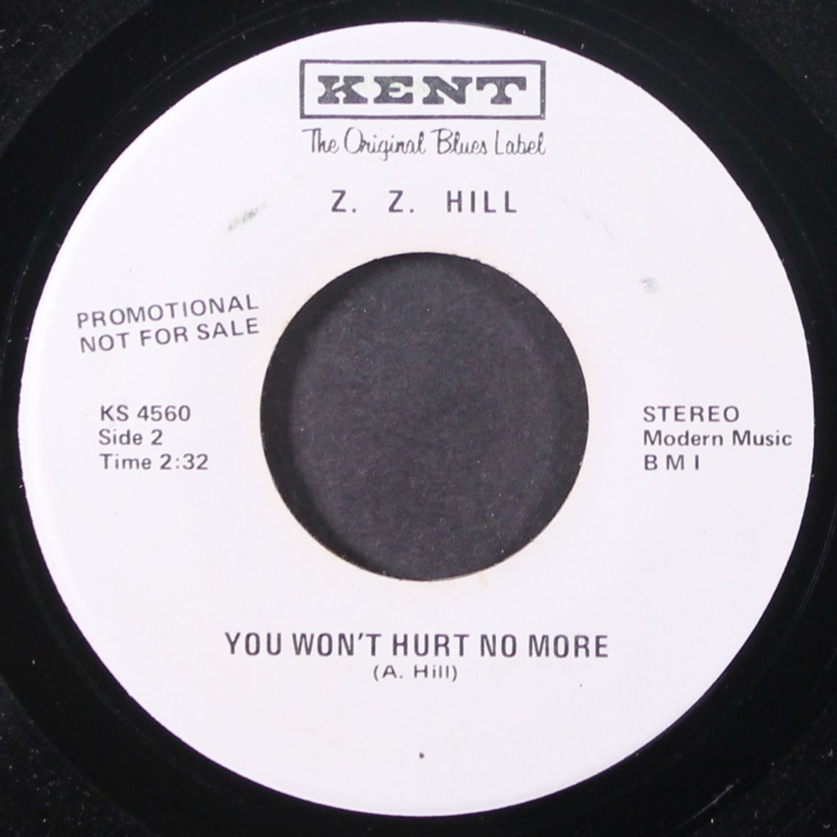if i could do it all over by Z.Z. HILL