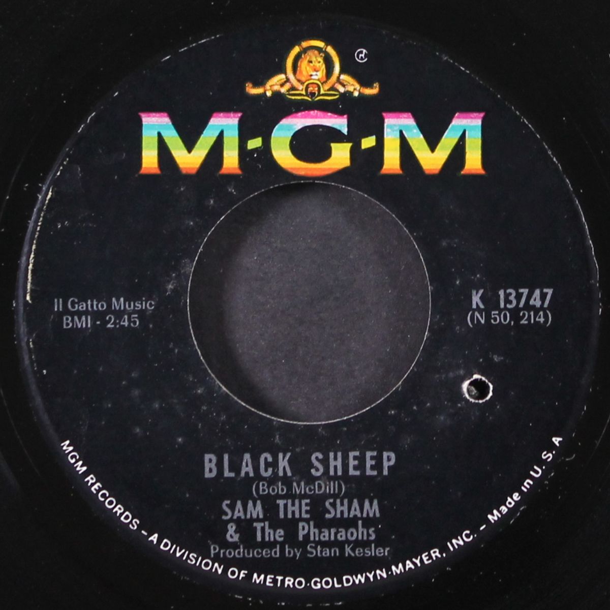 black sheep / my day's gonna shine by SAM THE SHAM & PHARAOHS