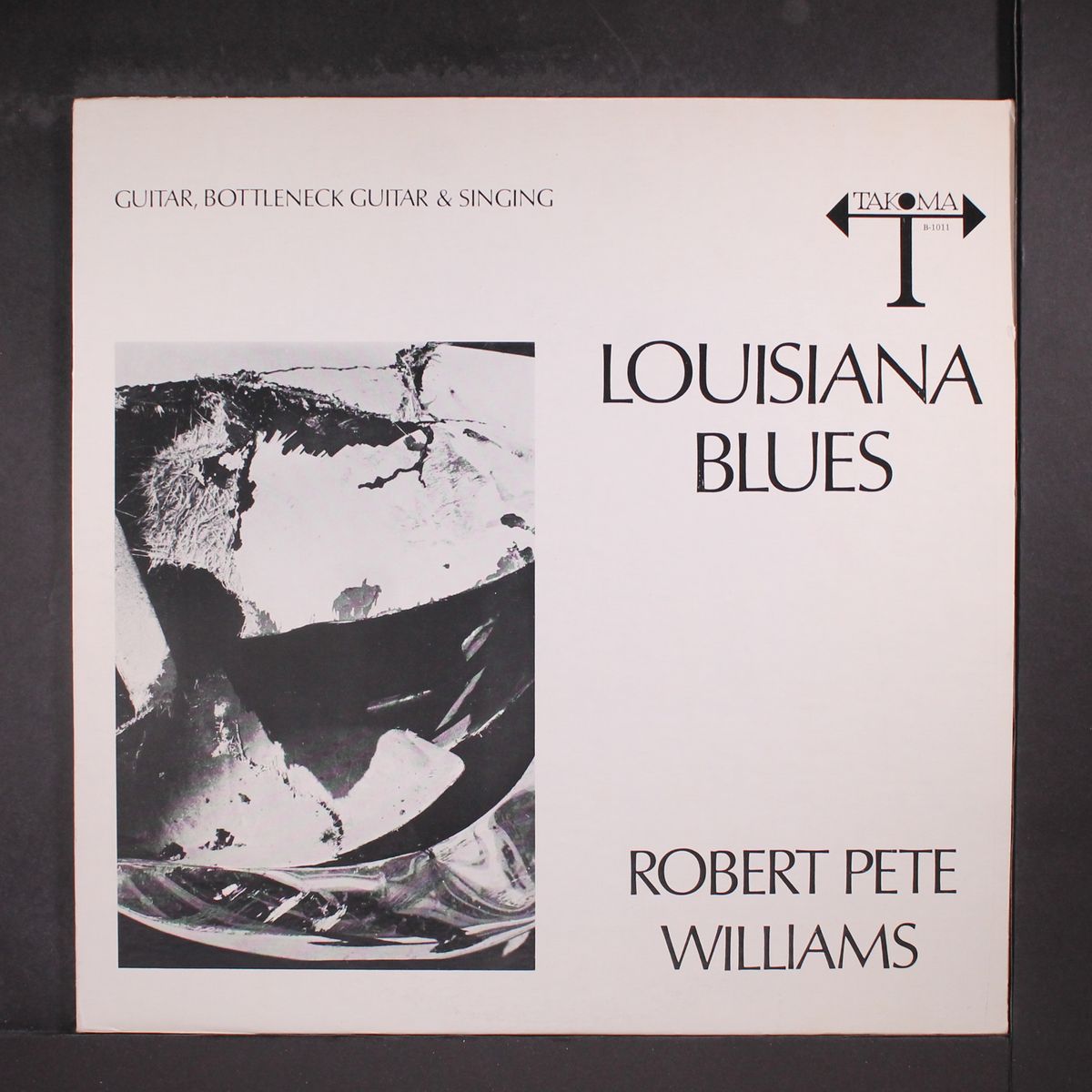louisiana blues by ROBERT PETE WILLIAMS
