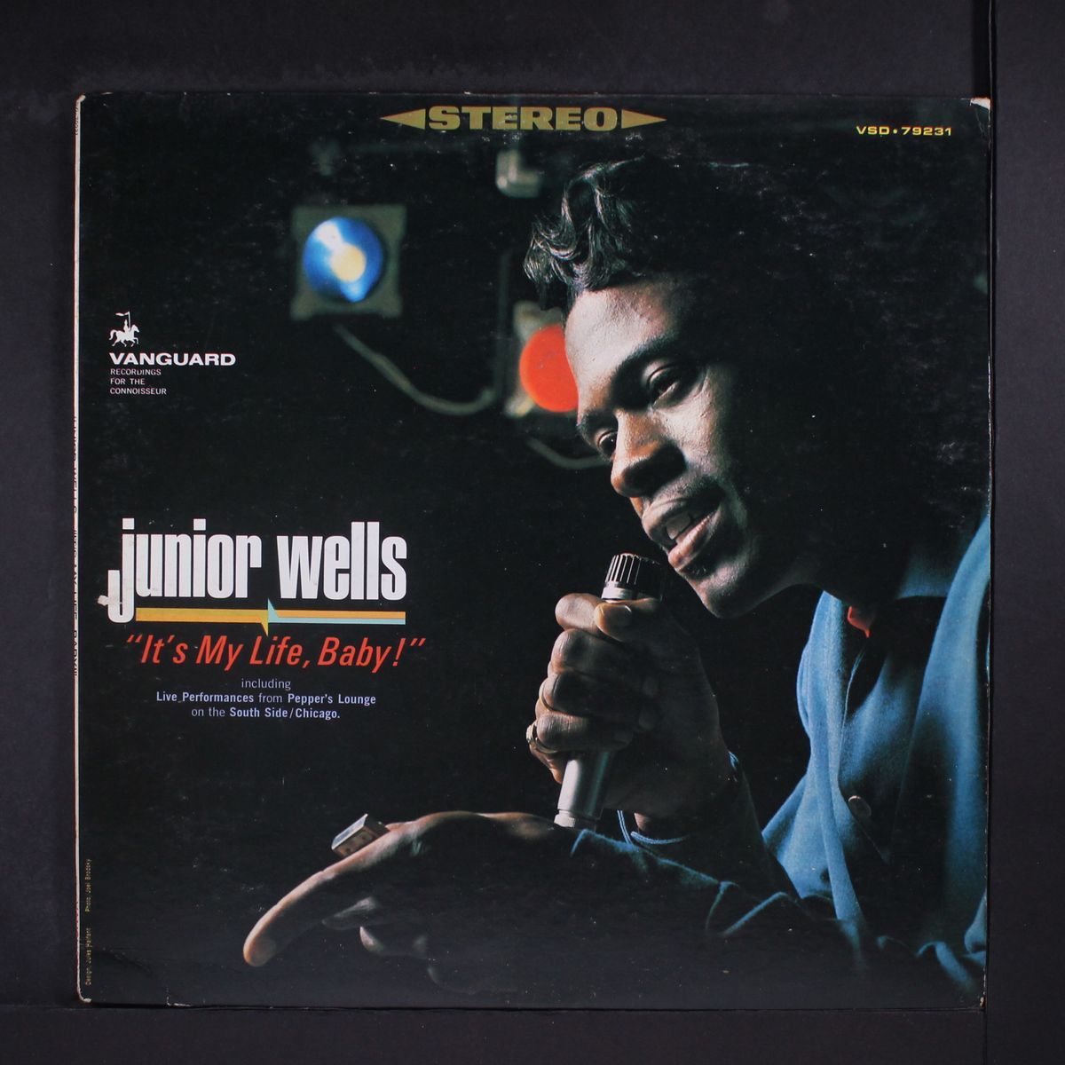 it's my life, baby! by JUNIOR WELLS