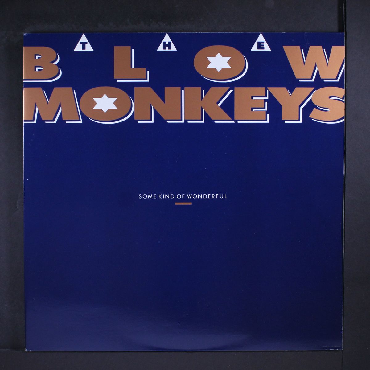 some kind of wonderful by BLOW MONKEYS