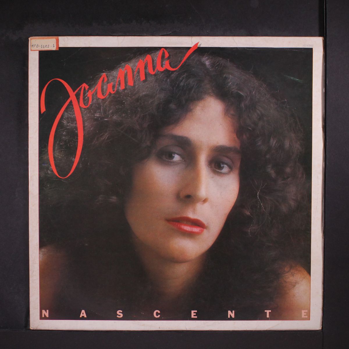 nascente by JOANNA