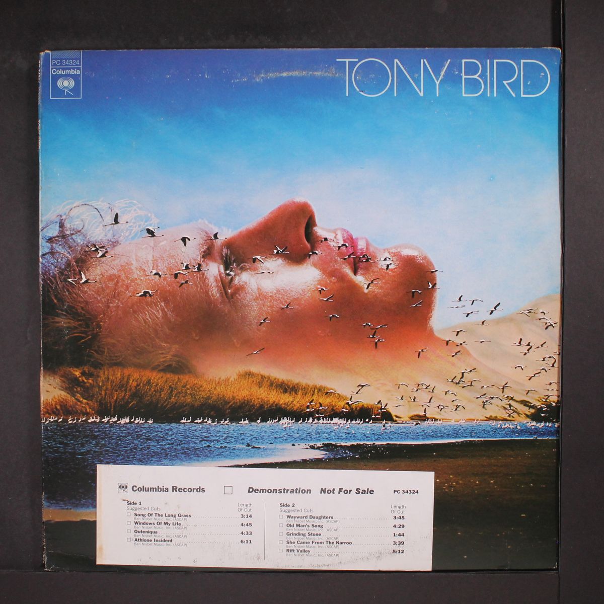 tony bird by TONY BIRD
