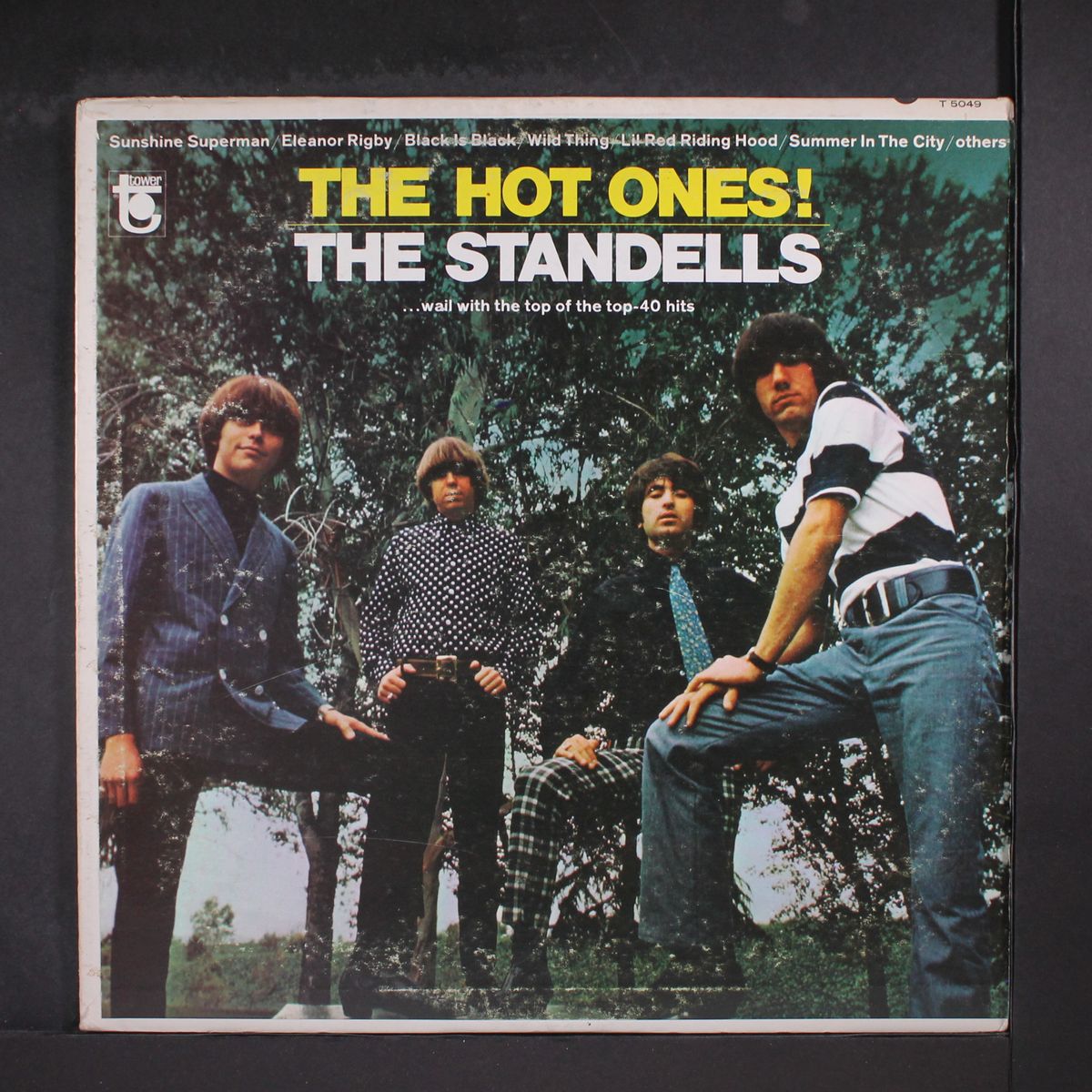 the hot ones! by STANDELLS