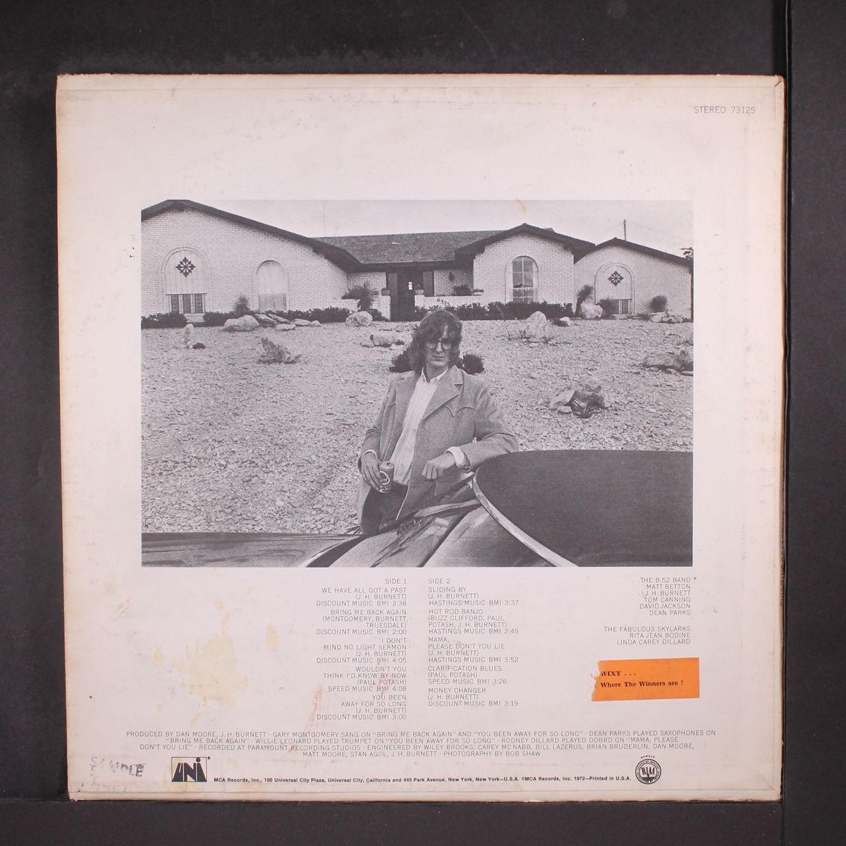 the b-52 band & fabulous skylarks by J. HENRY BURNETT