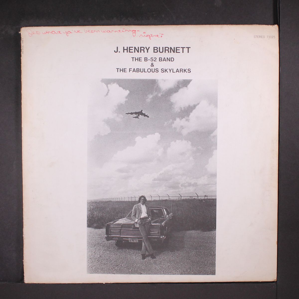the b-52 band & fabulous skylarks by J. HENRY BURNETT