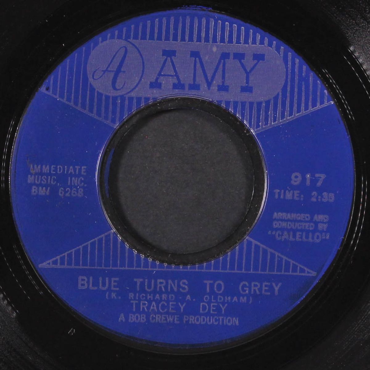didn 'ya / blue turns to grey by TRACEY DEY