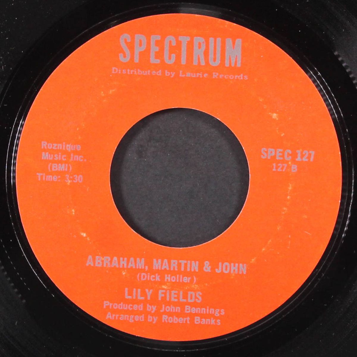 i have a dream / abraham, martin & john by LILY FIELDS