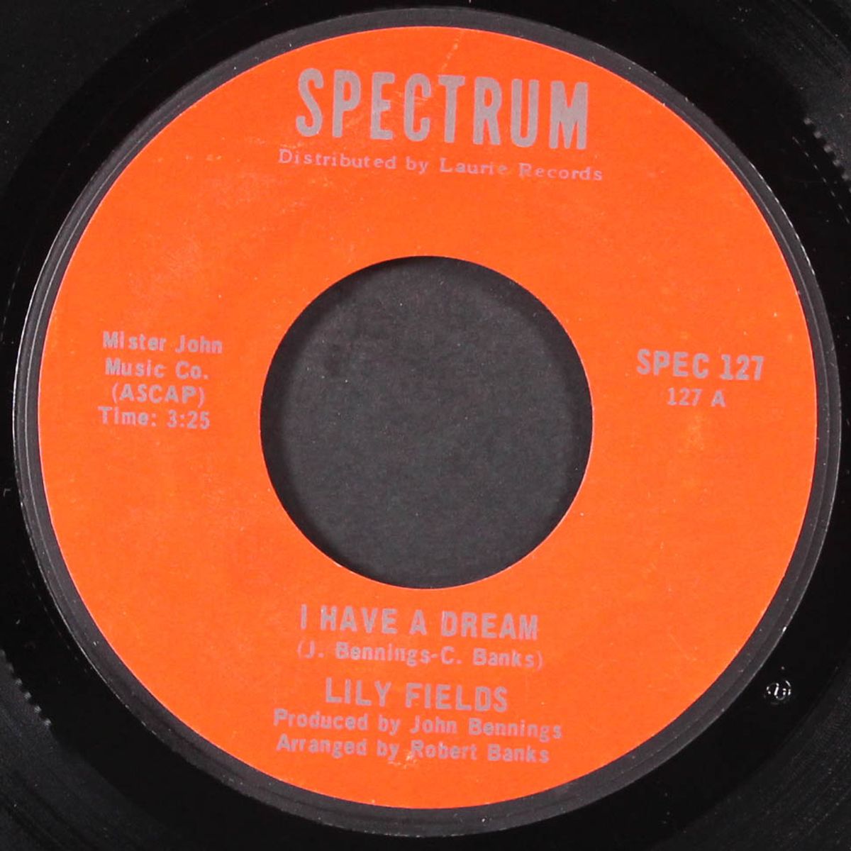 i have a dream / abraham, martin & john by LILY FIELDS