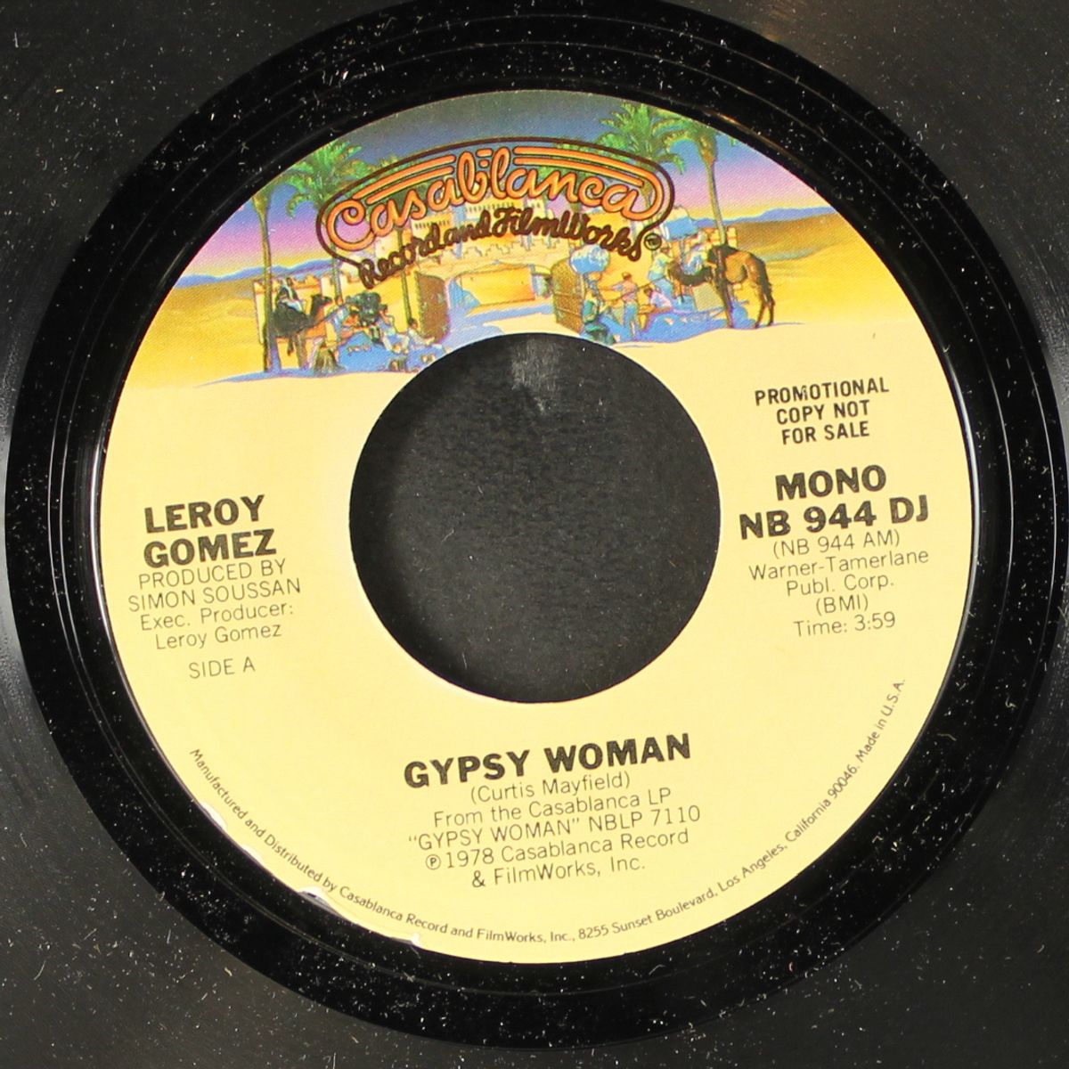 gypsy woman by LEROY GOMEZ