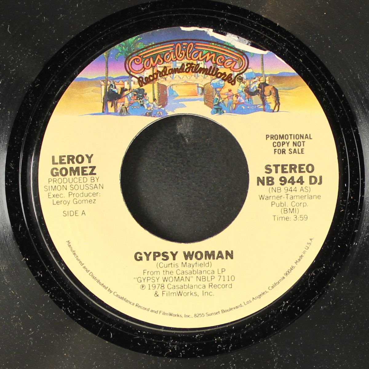 gypsy woman by LEROY GOMEZ