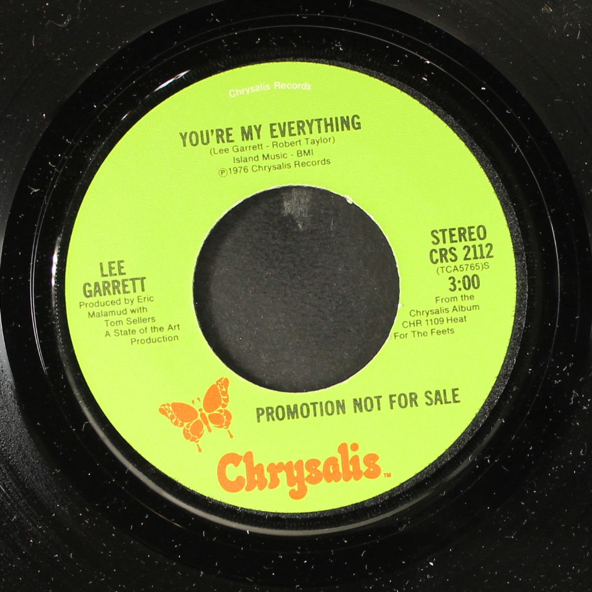 you're my everything / mono by LEE GARRETT