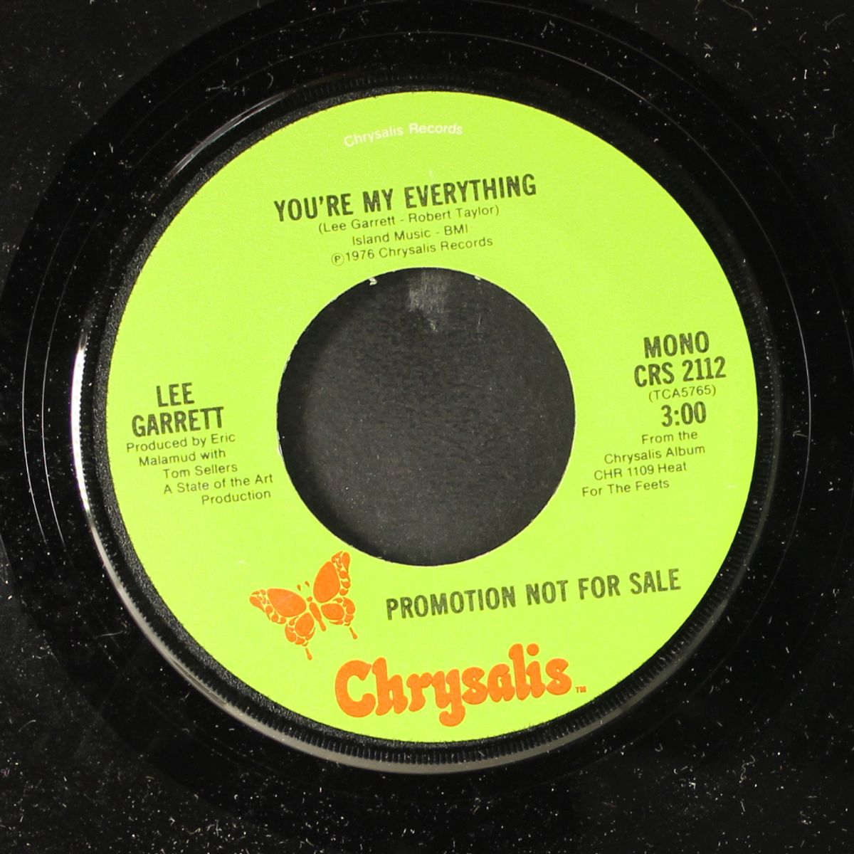 you're my everything / mono by LEE GARRETT