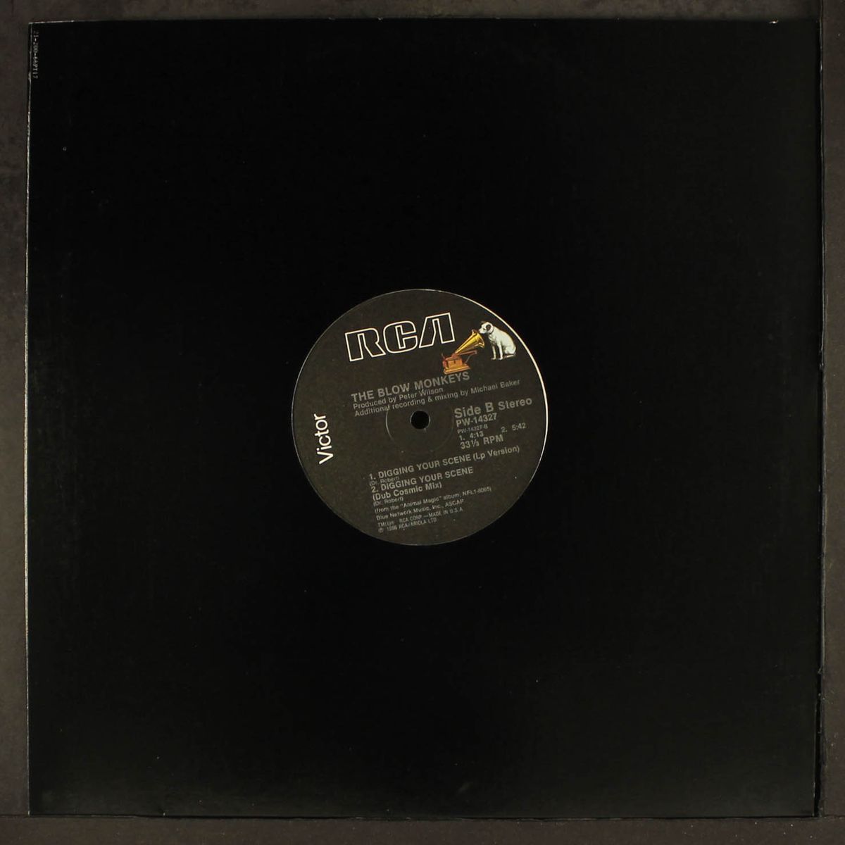 digging your scene by BLOW MONKEYS