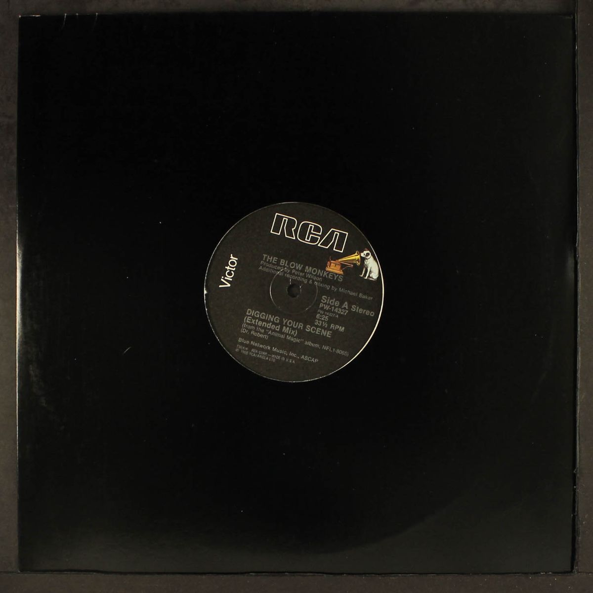 digging your scene by BLOW MONKEYS