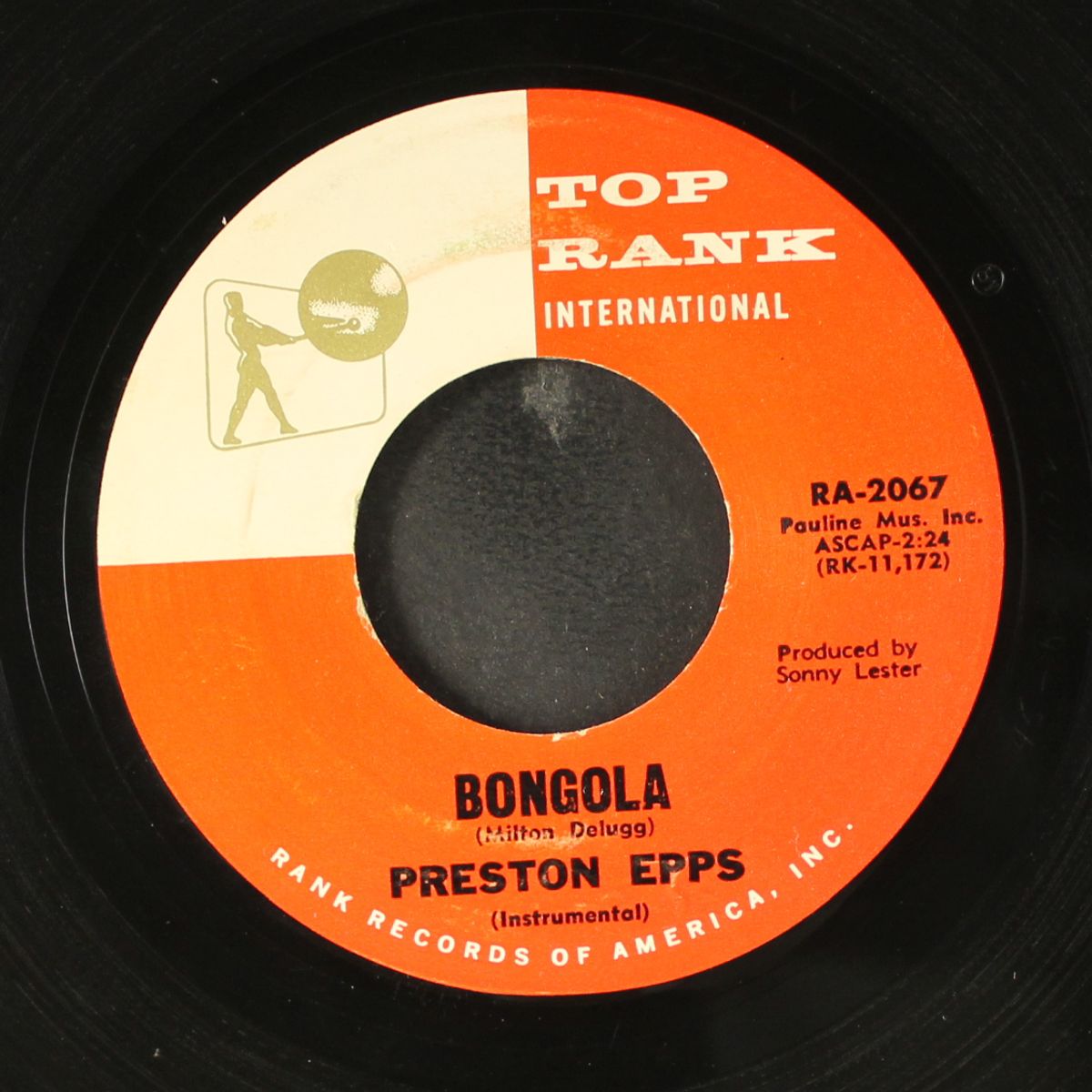 bongola / blue bongo by PRESTON EPPS