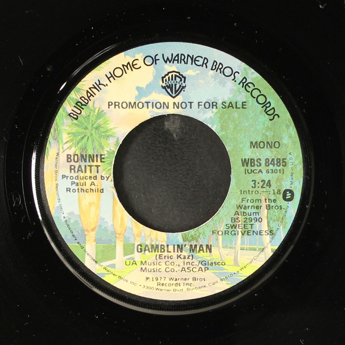 gamblin' man / mono by BONNIE RAITT
