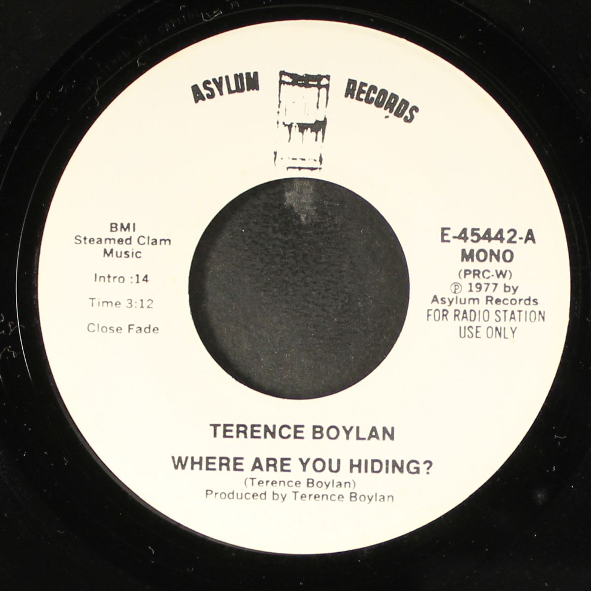 where are you hiding? / mono by TERENCE BOYLAN