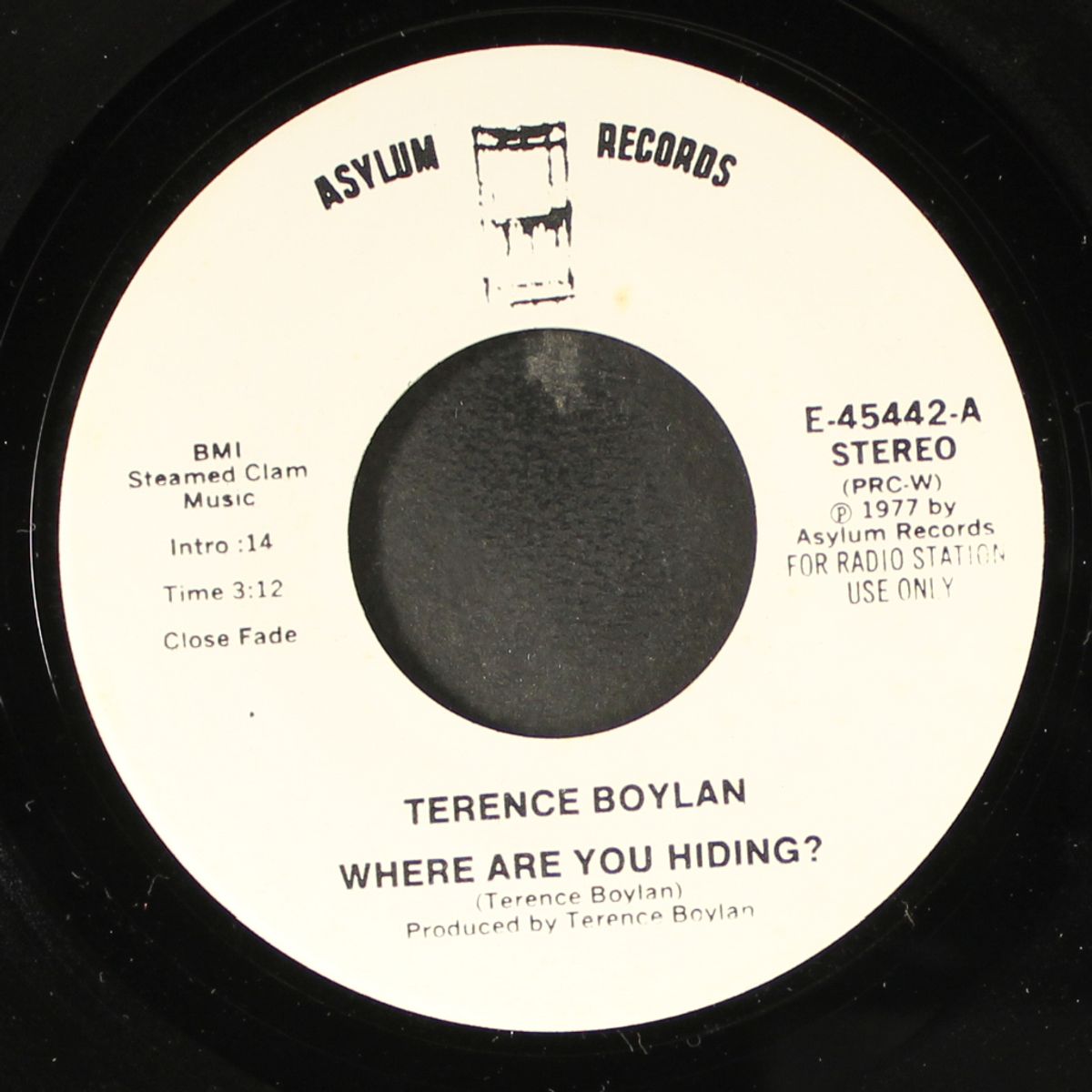 where are you hiding? / mono by TERENCE BOYLAN