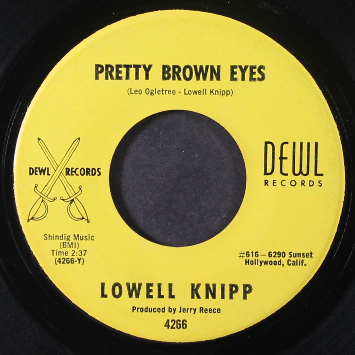 goofy little bug / pretty brown eyes by LOWELL KNIPP