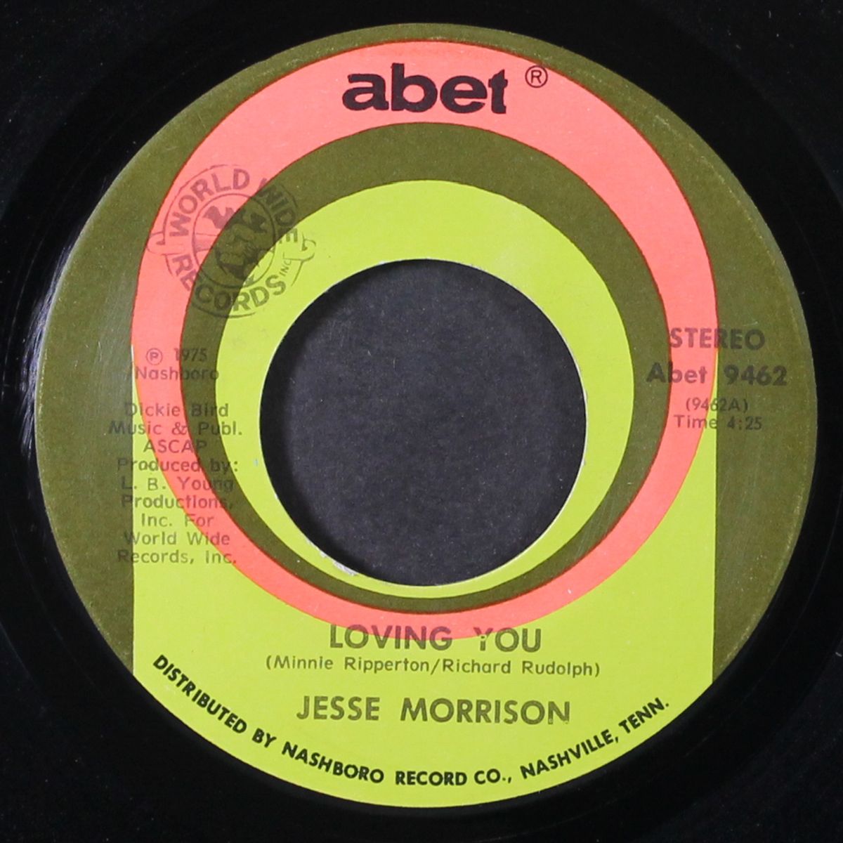 shakey pudding / loving you by JESSE MORRISON