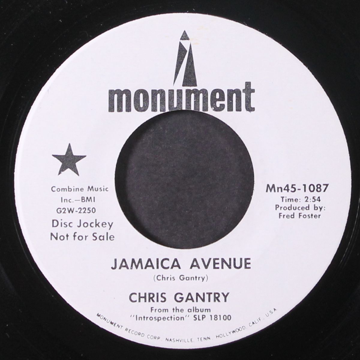 jamaica avenue by CHRIS GANTRY