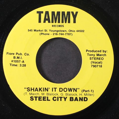 STEEL CITY BAND