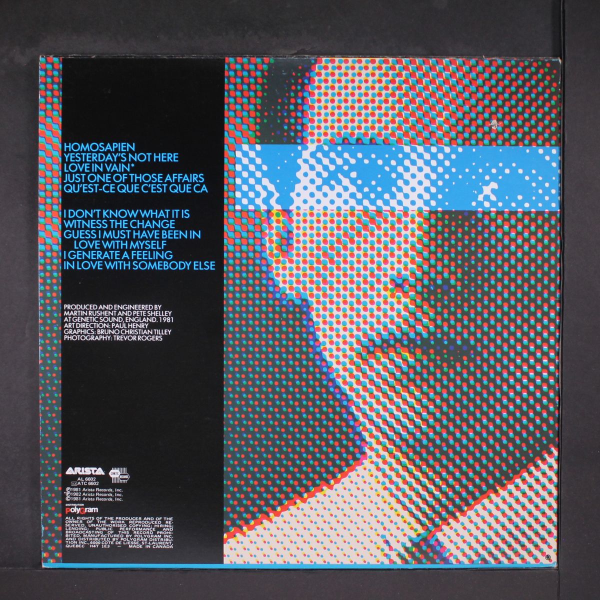 homosapien by PETE SHELLEY