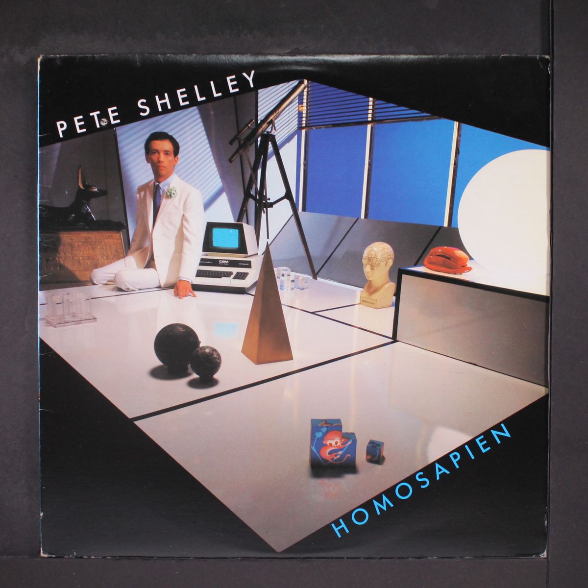 homosapien by PETE SHELLEY