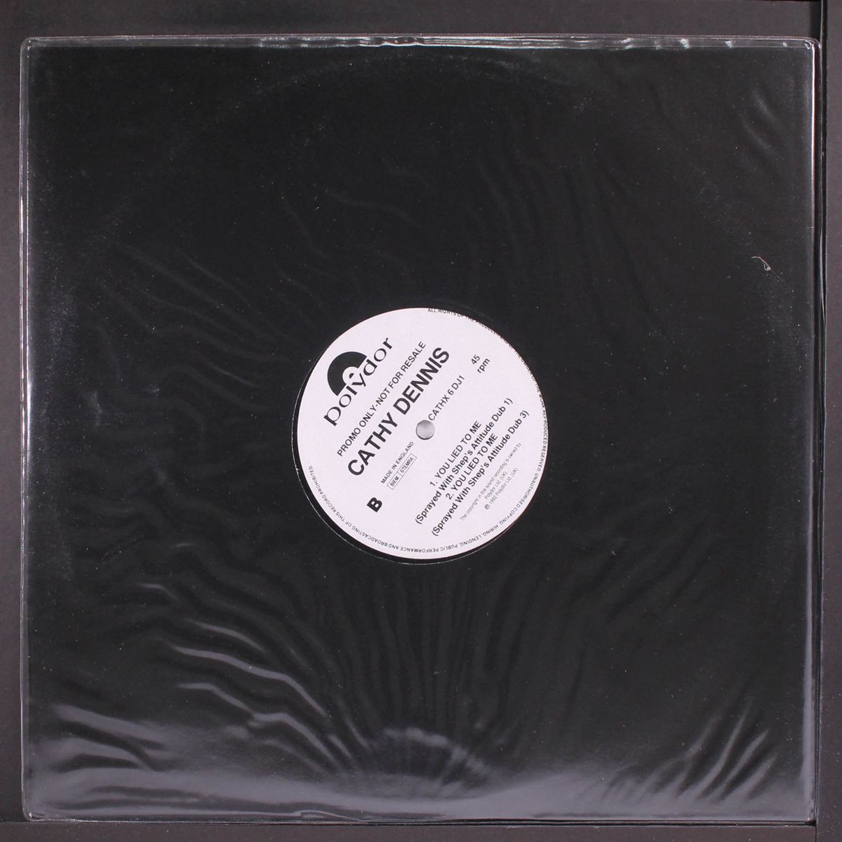 you lied to me by CATHY DENNIS