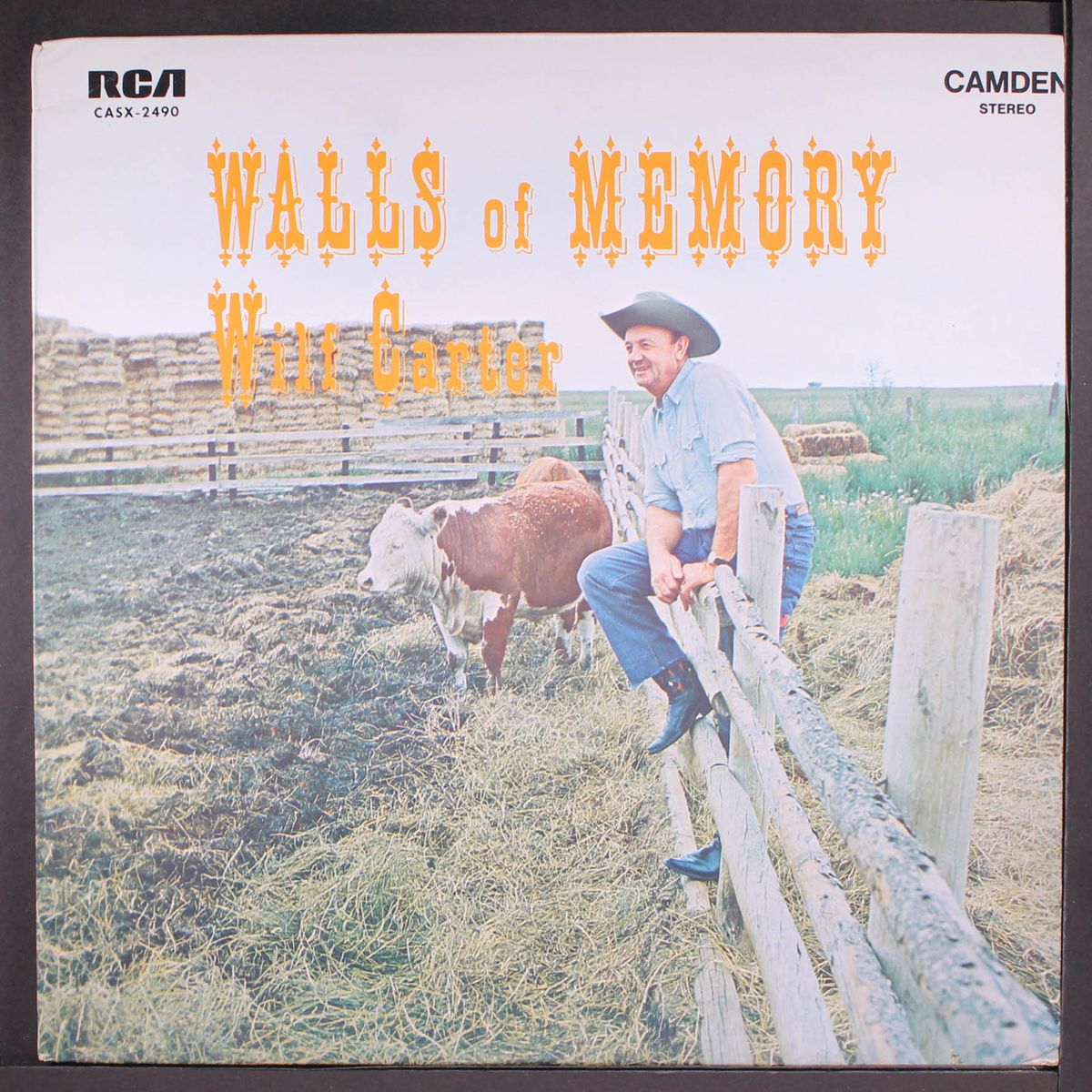 walls of memory by WILF CARTER