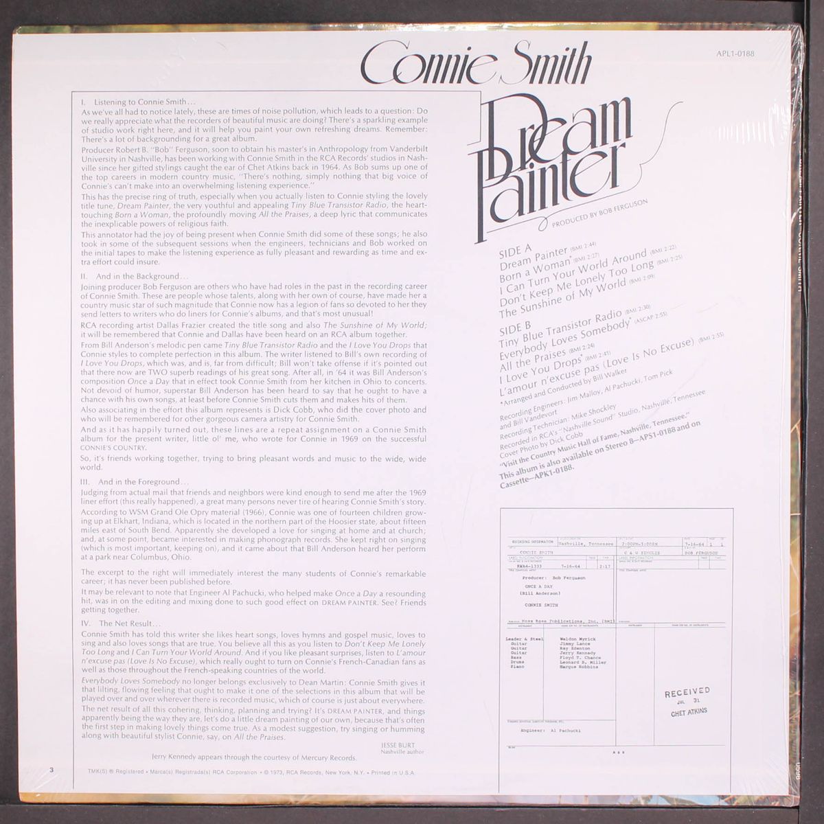 dream painter by CONNIE SMITH