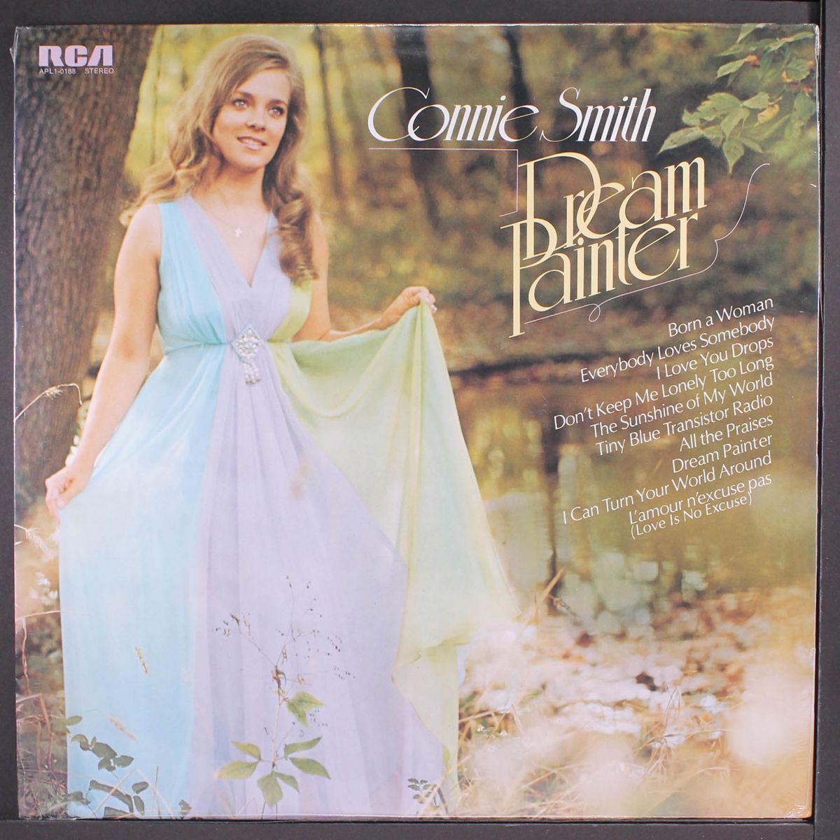 dream painter by CONNIE SMITH