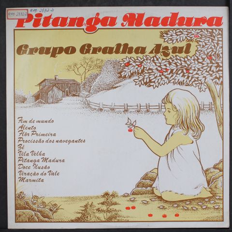 GRUPO GRALHA AZUL